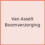 Van Asselt Boomverzorging